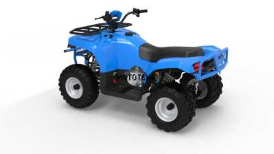 Квадроцикл IRBIS (Ирбис) ATV 250 2024 синий с ПСМ